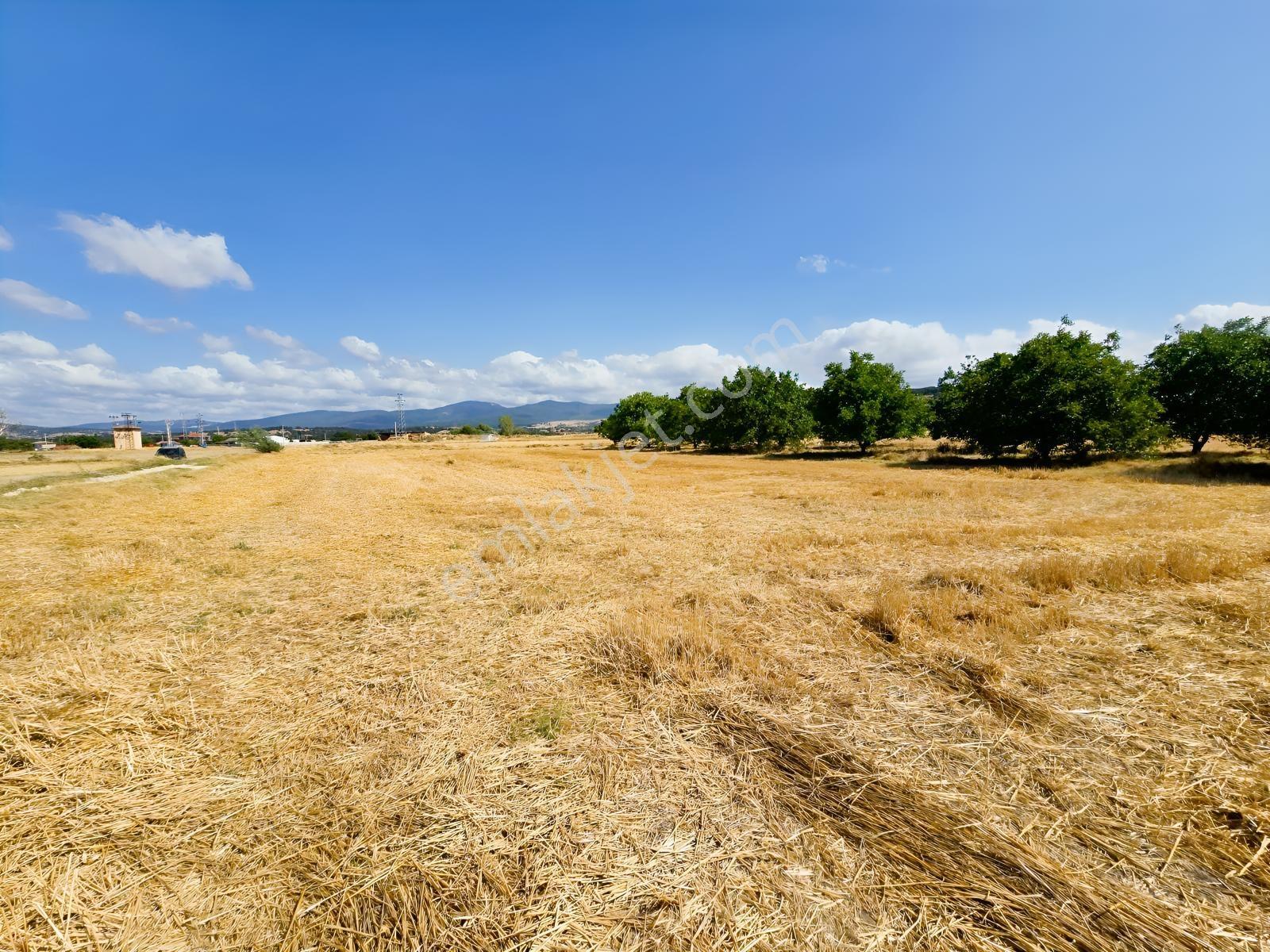 Pınarhisar İslambeyli Mevkinde Yola Cephe Satılık 3.921m2 Tarla — fotoğraf 2