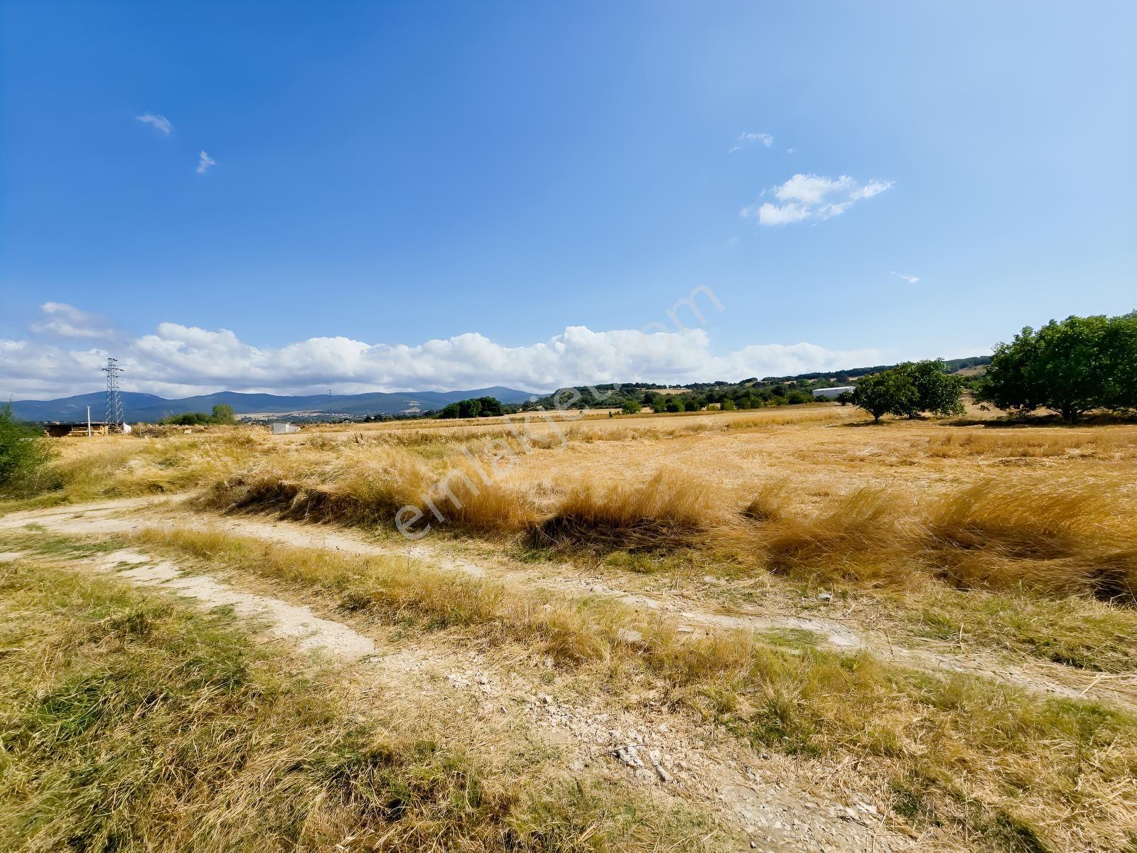 Pınarhisar İslambeyli Mevkinde Yola Cephe Satılık 3.921m2 Tarla — fotoğraf 5