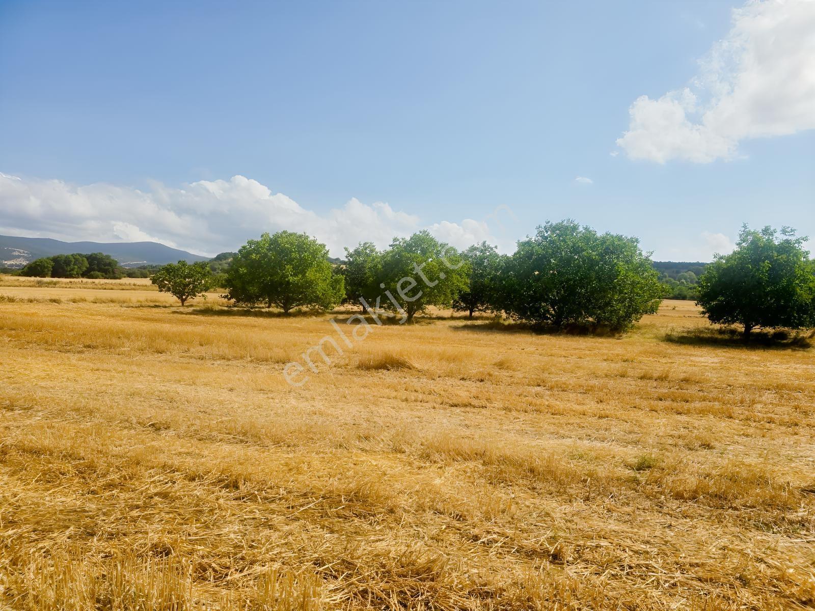 Pınarhisar İslambeyli Mevkinde Yola Cephe Satılık 3.921m2 Tarla — fotoğraf 7