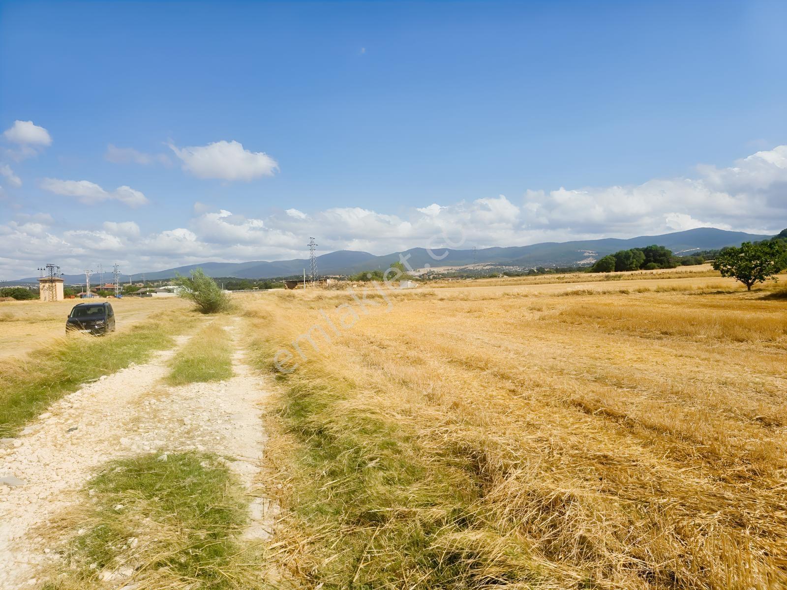 Pınarhisar İslambeyli Mevkinde Yola Cephe Satılık 3.921m2 Tarla — fotoğraf 9