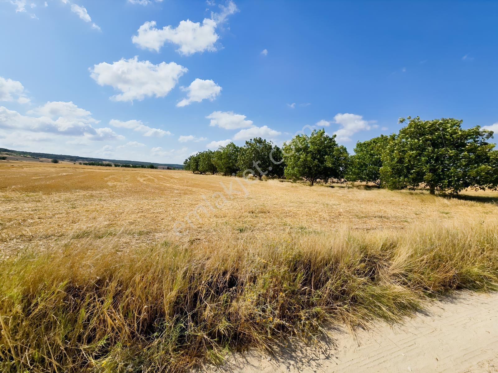 Pınarhisar İslambeyli Mevkinde Yola Cephe Satılık 3.921m2 Tarla — fotoğraf 12