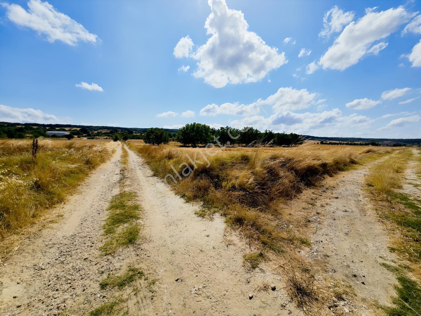 Pınarhisar İslambeyli Mevkinde Yola Cephe Satılık 3.921m2 Tarla — fotoğraf 15