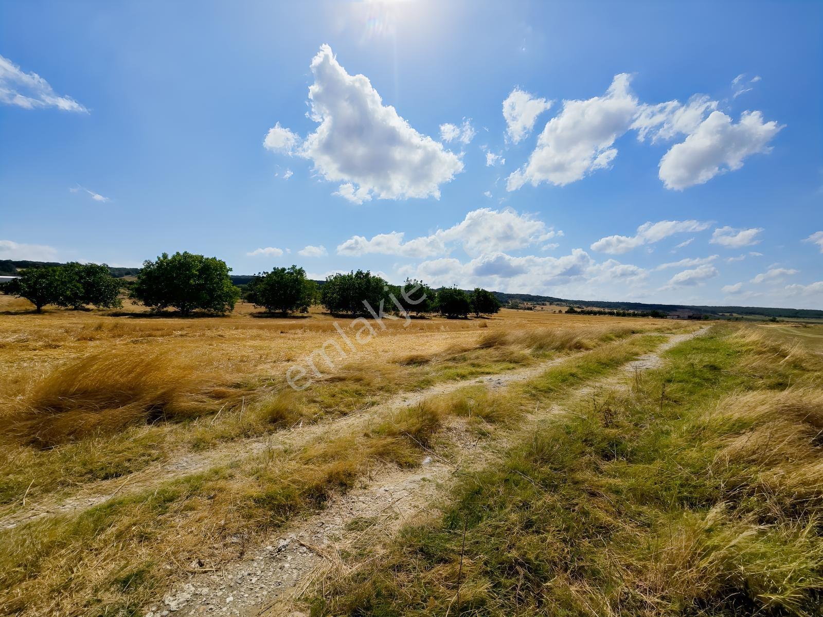 Pınarhisar İslambeyli Mevkinde Yola Cephe Satılık 3.921m2 Tarla — fotoğraf 16