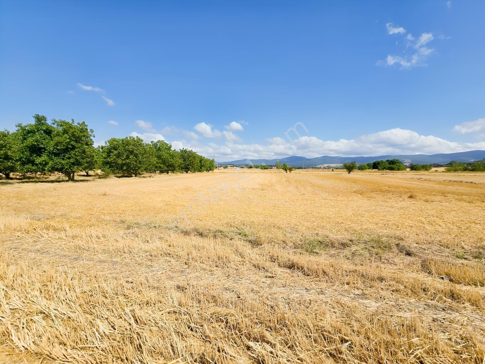 Pınarhisar İslambeyli Mevkinde Yola Cephe Satılık 3.921m2 Tarla — fotoğraf 17