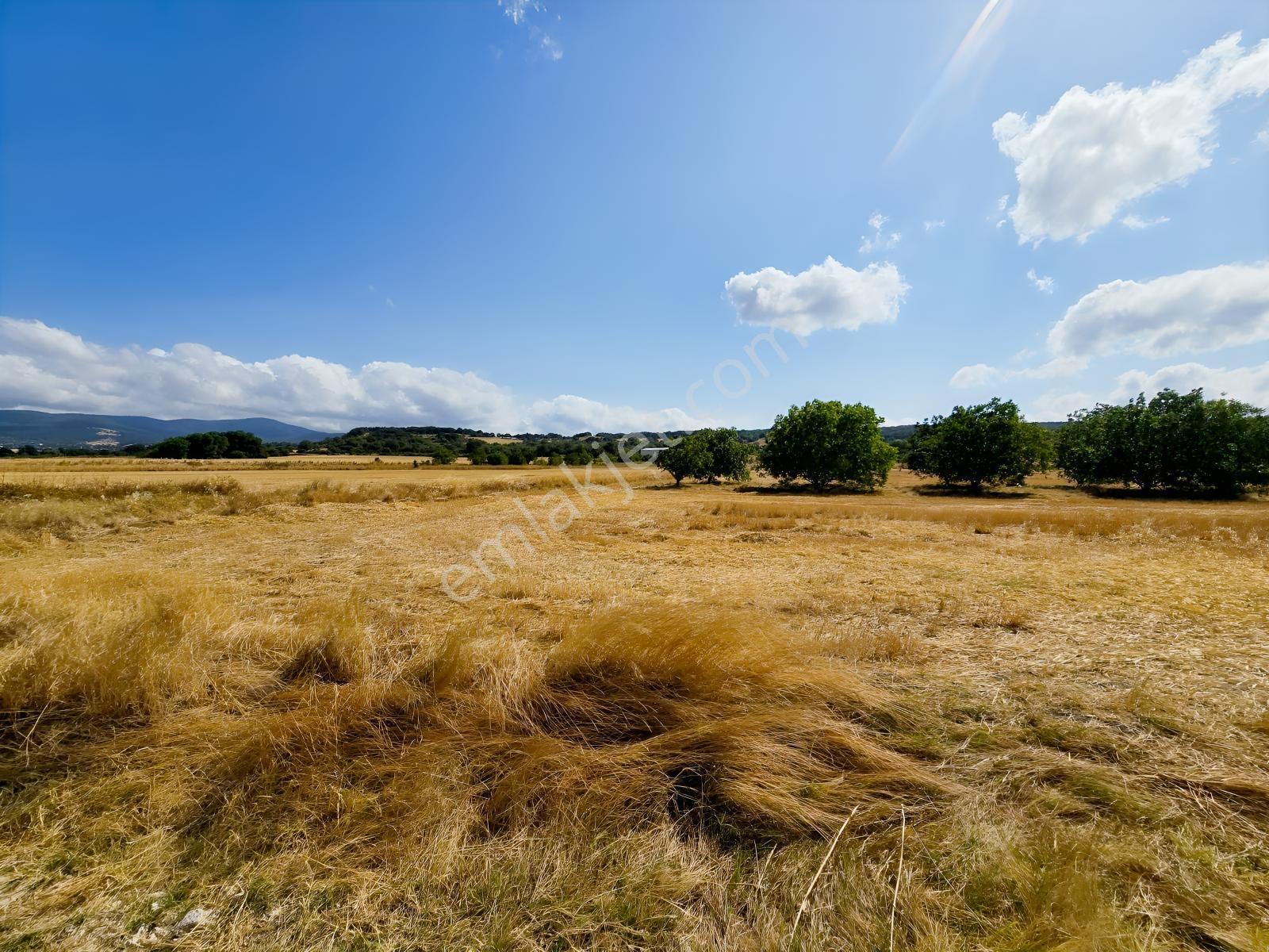Pınarhisar İslambeyli Mevkinde Yola Cephe Satılık 3.921m2 Tarla — fotoğraf 18