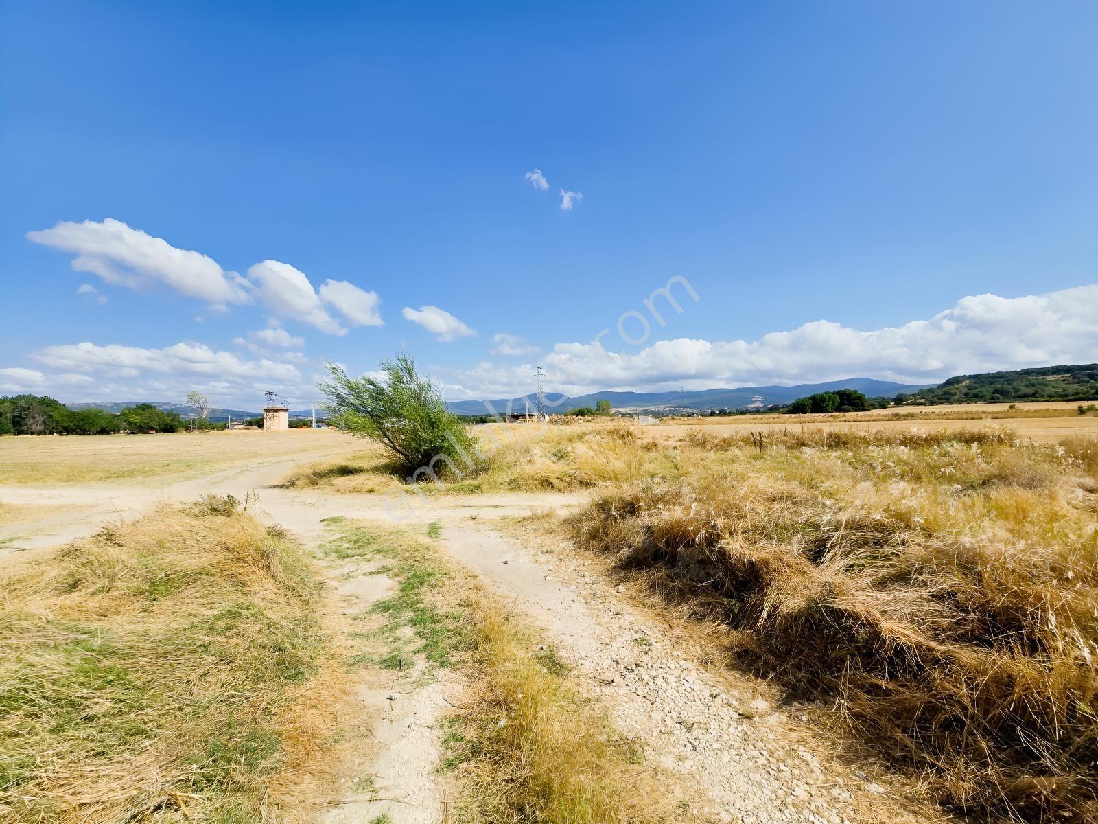 Pınarhisar İslambeyli Mevkinde Yola Cephe Satılık 3.921m2 Tarla — fotoğraf 20