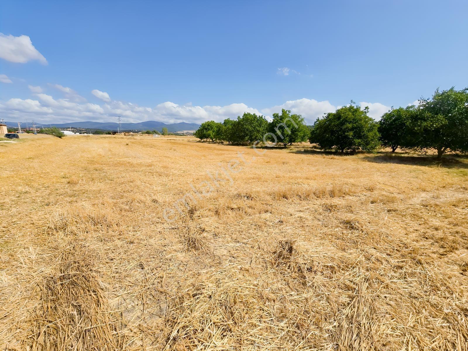 Pınarhisar İslambeyli Mevkinde Yola Cephe Satılık 3.921m2 Tarla — fotoğraf 21