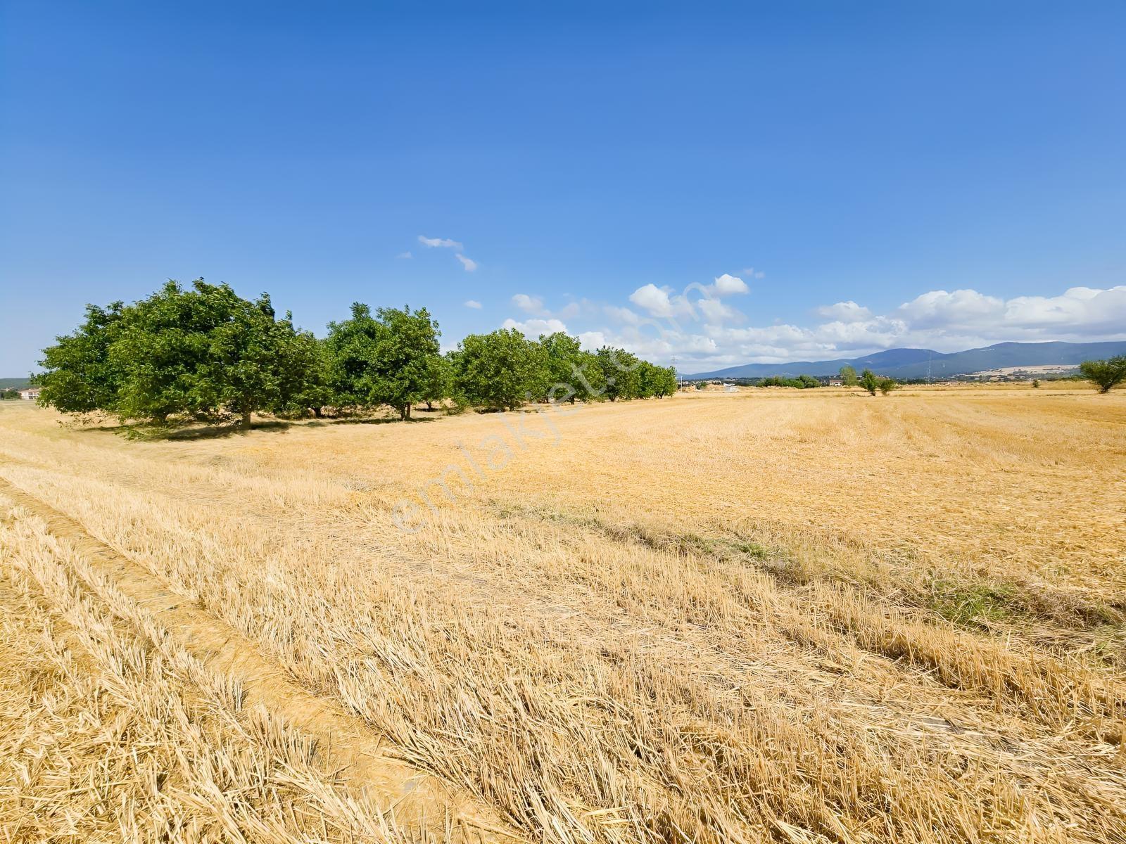 Pınarhisar İslambeyli Mevkinde Yola Cephe Satılık 3.921m2 Tarla — fotoğraf 22