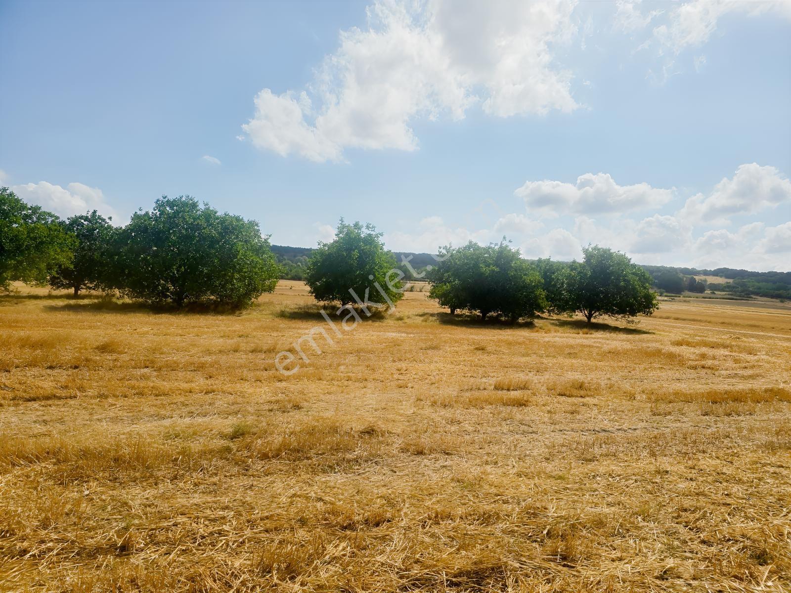 Pınarhisar İslambeyli Mevkinde Yola Cephe Satılık 3.921m2 Tarla — fotoğraf 23