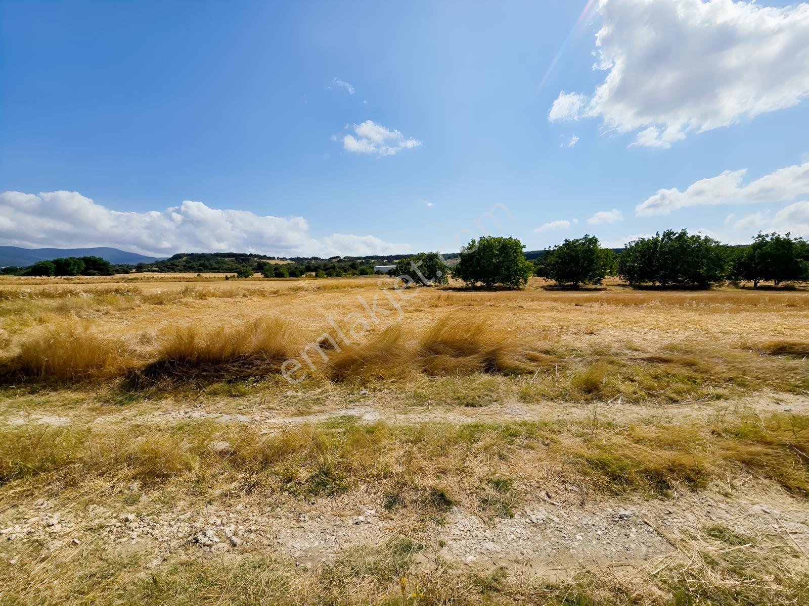 Pınarhisar İslambeyli Mevkinde Yola Cephe Satılık 3.921m2 Tarla — fotoğraf 24