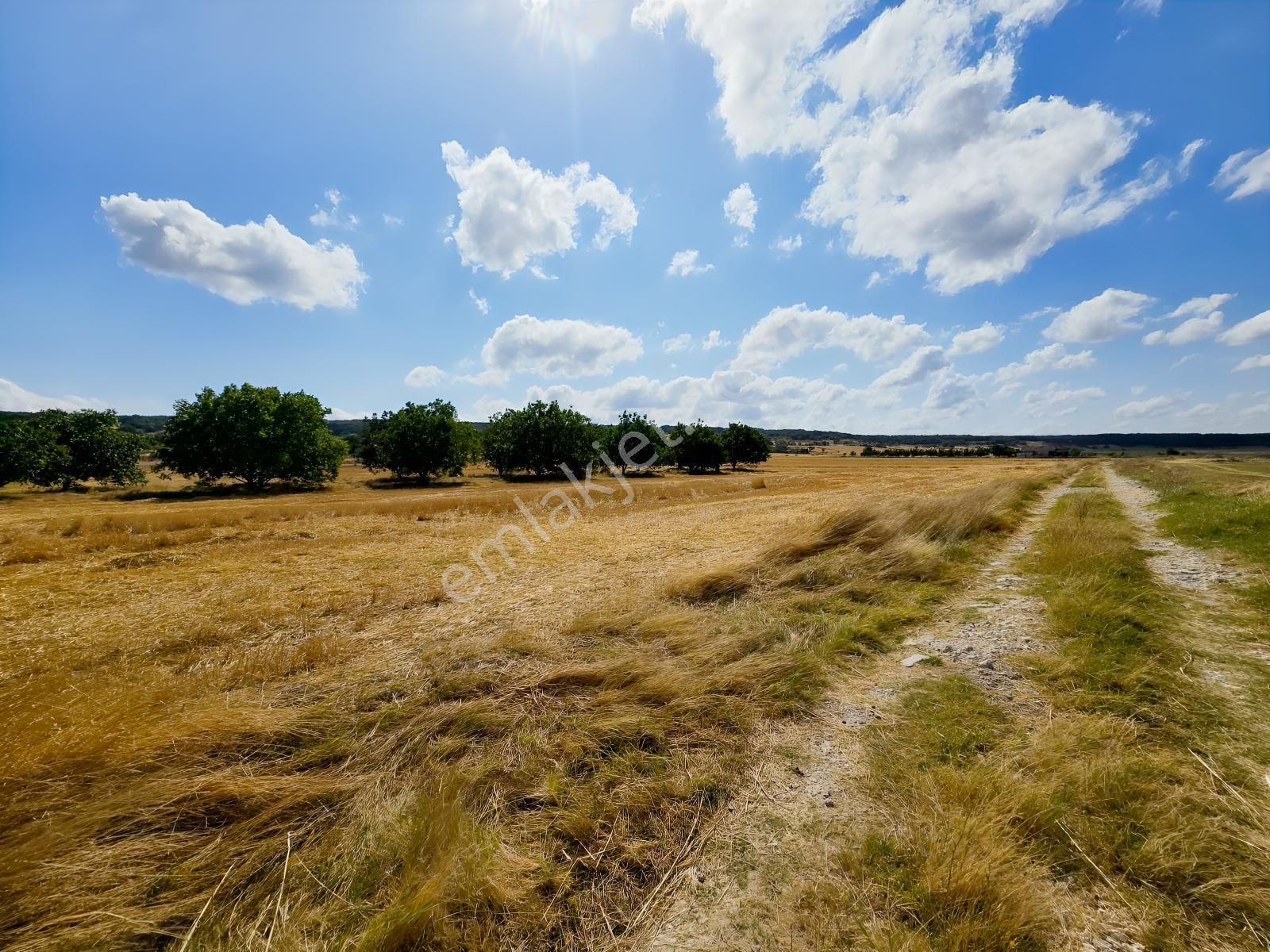 Pınarhisar İslambeyli Mevkinde Yola Cephe Satılık 3.921m2 Tarla — fotoğraf 25