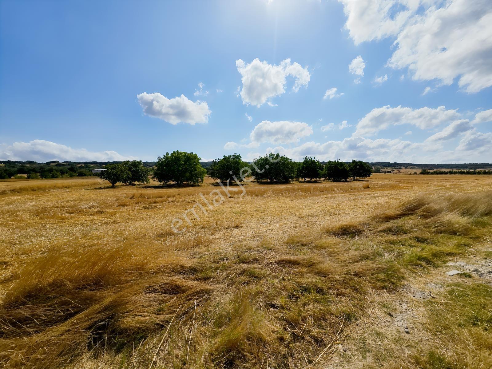 Pınarhisar İslambeyli Mevkinde Yola Cephe Satılık 3.921m2 Tarla — fotoğraf 26