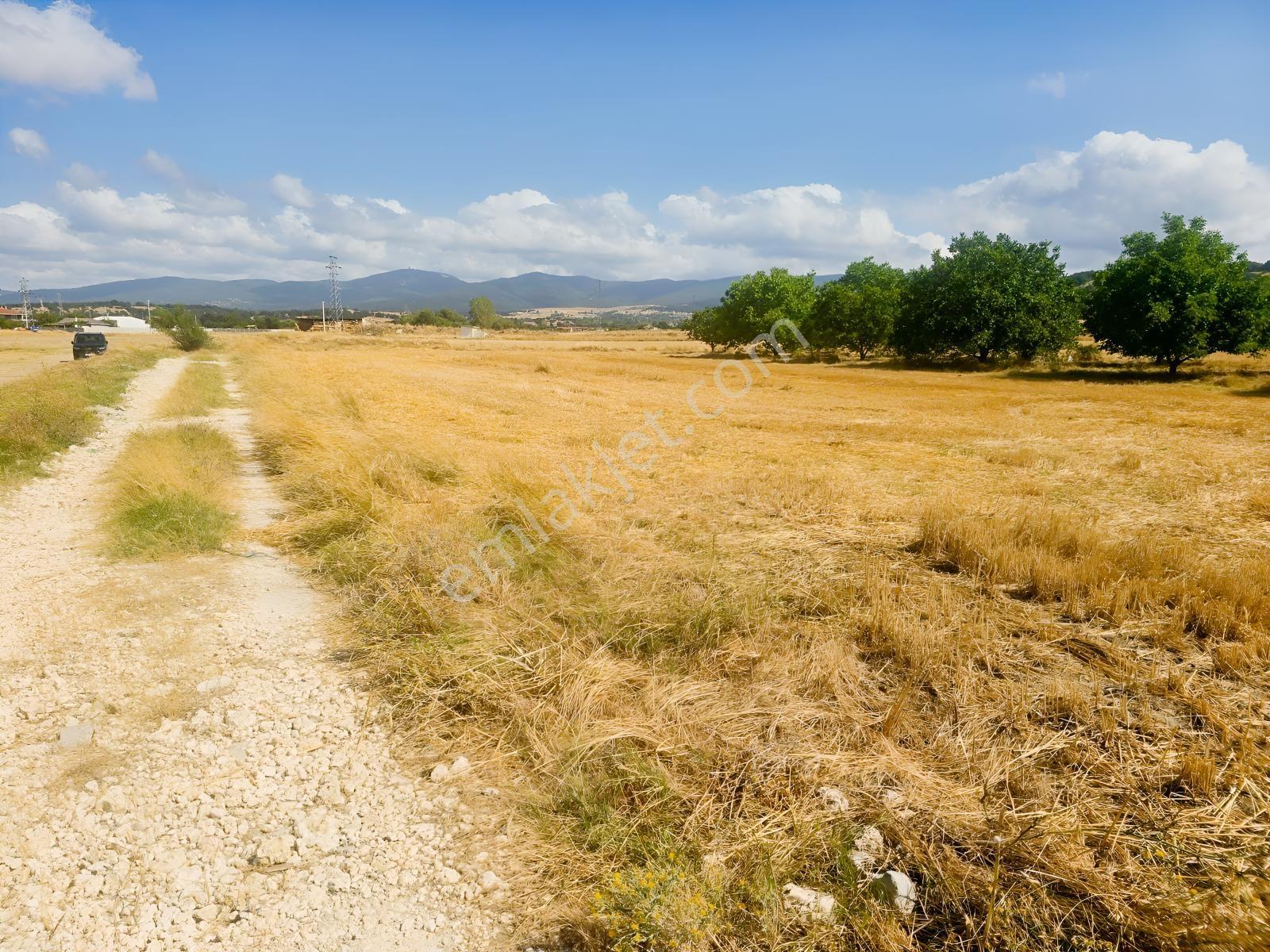 Pınarhisar İslambeyli Mevkinde Yola Cephe Satılık 3.921m2 Tarla — fotoğraf 27