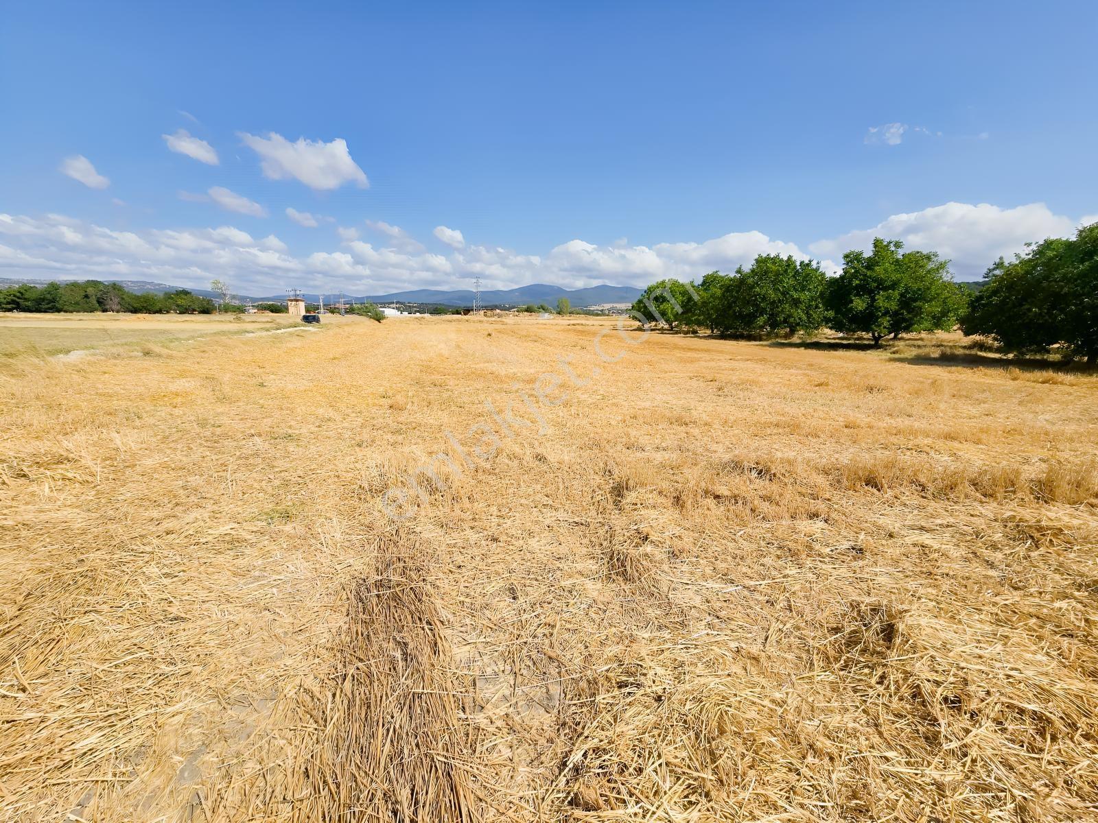 Pınarhisar İslambeyli Mevkinde Yola Cephe Satılık 3.921m2 Tarla — fotoğraf 28