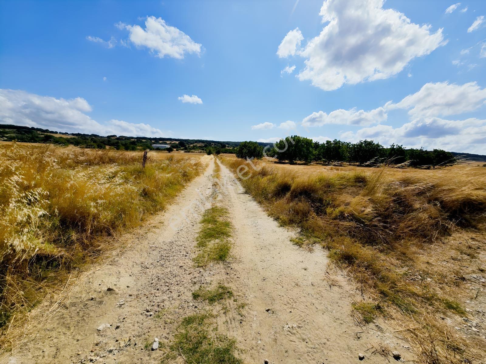Pınarhisar İslambeyli Mevkinde Yola Cephe Satılık 3.921m2 Tarla — fotoğraf 30