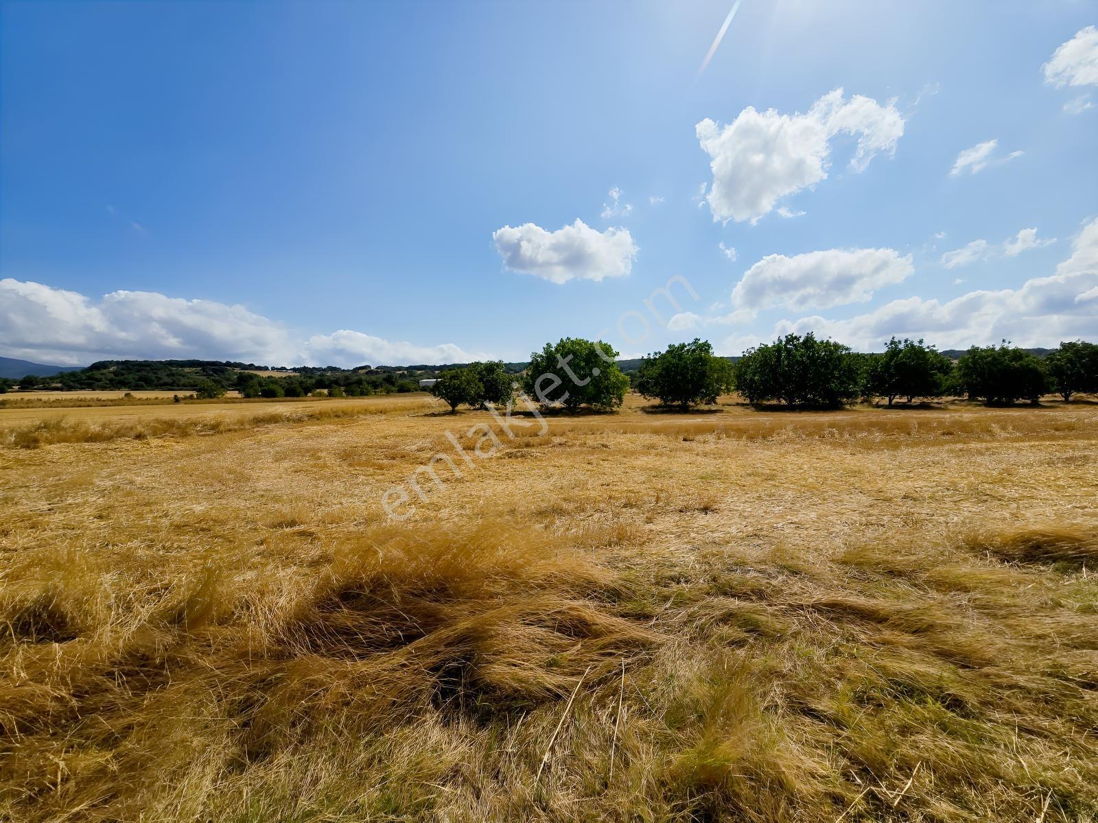 Pınarhisar İslambeyli Mevkinde Yola Cephe Satılık 3.921m2 Tarla — fotoğraf 31