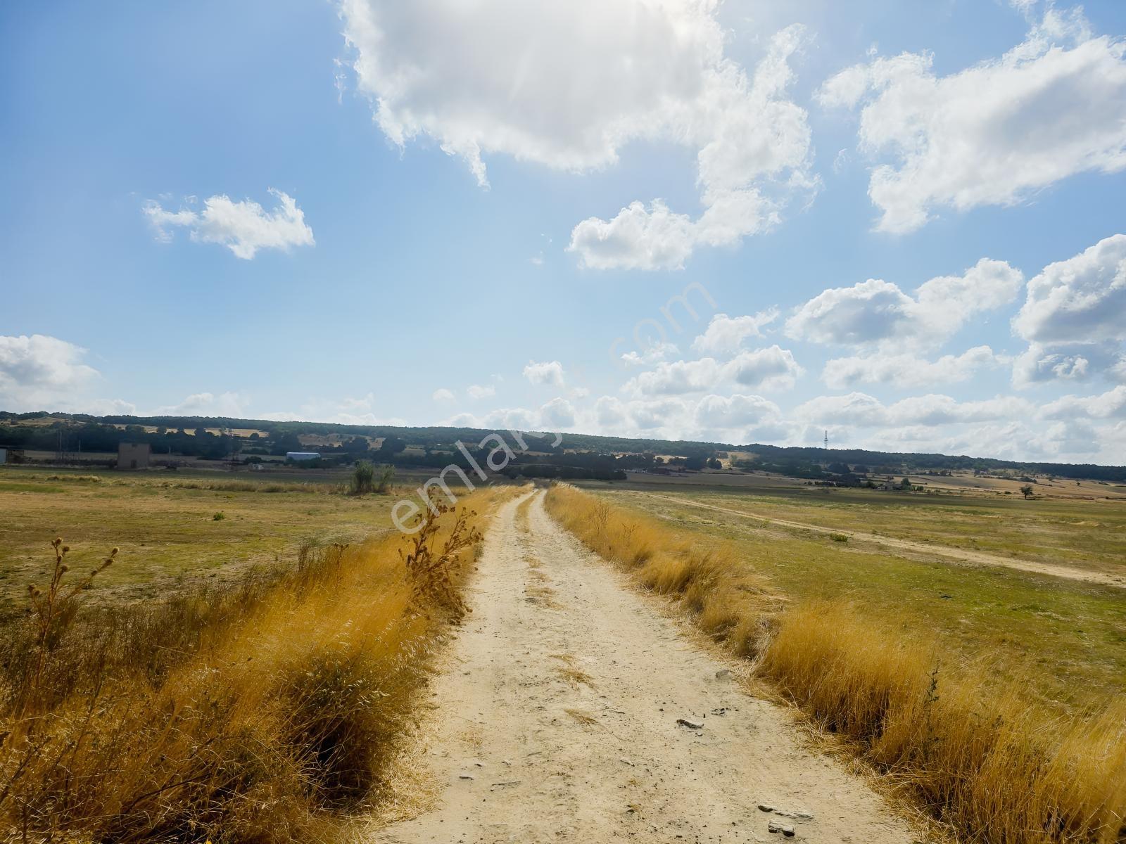 Pınarhisar İslambeyli Mevkinde Yola Cephe Satılık 3.921m2 Tarla — fotoğraf 32