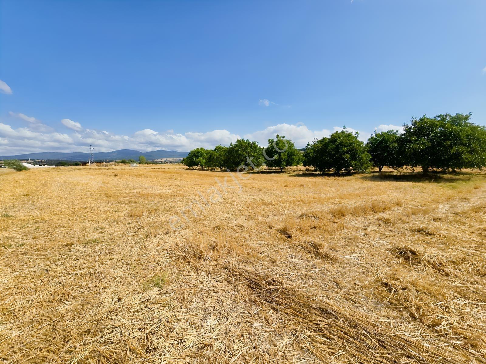Pınarhisar İslambeyli Mevkinde Yola Cephe Satılık 3.921m2 Tarla — fotoğraf 34