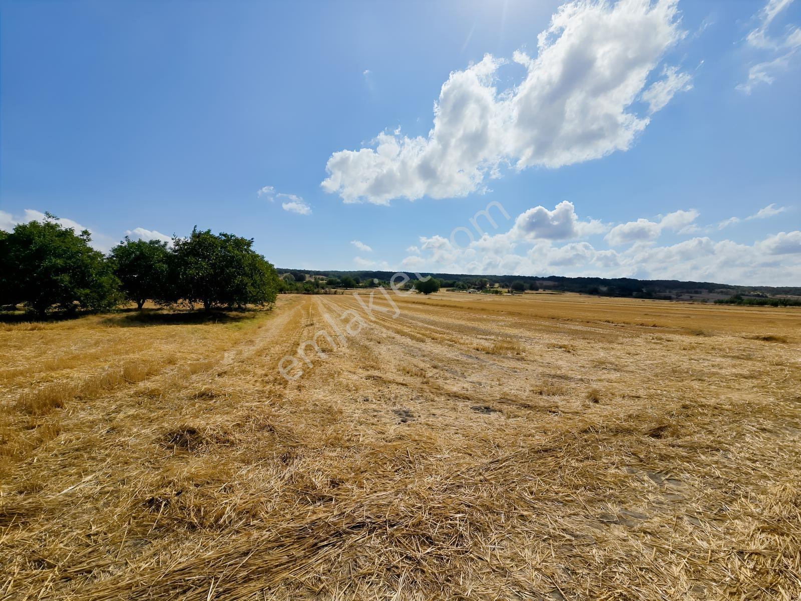 Pınarhisar İslambeyli Mevkinde Yola Cephe Satılık 3.921m2 Tarla — fotoğraf 35