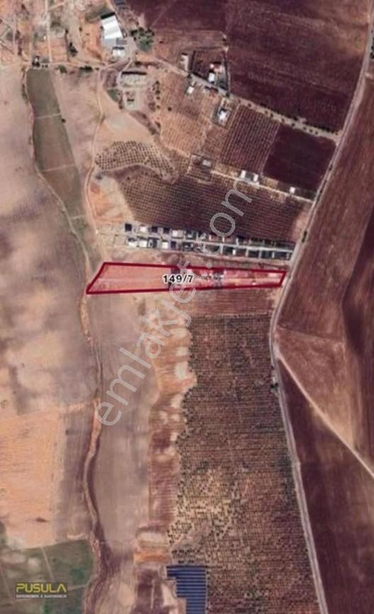 Pusula Gm'den Satılık Arsa Paşamezrası 500m2 — fotoğraf 3