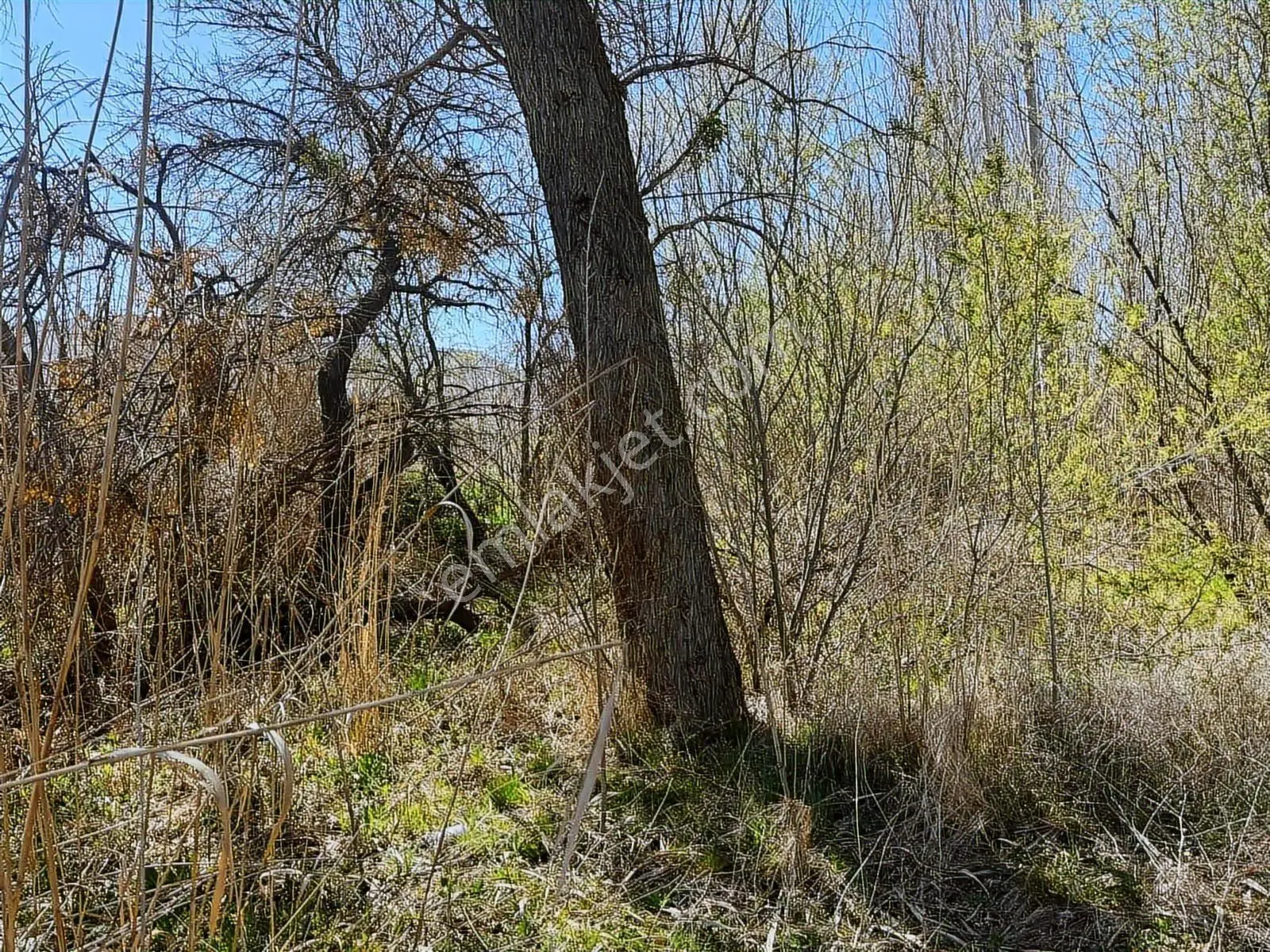 Ürgüp Cemilde Acill Satılık Tek Tapu Araç Takaslı — fotoğraf 6