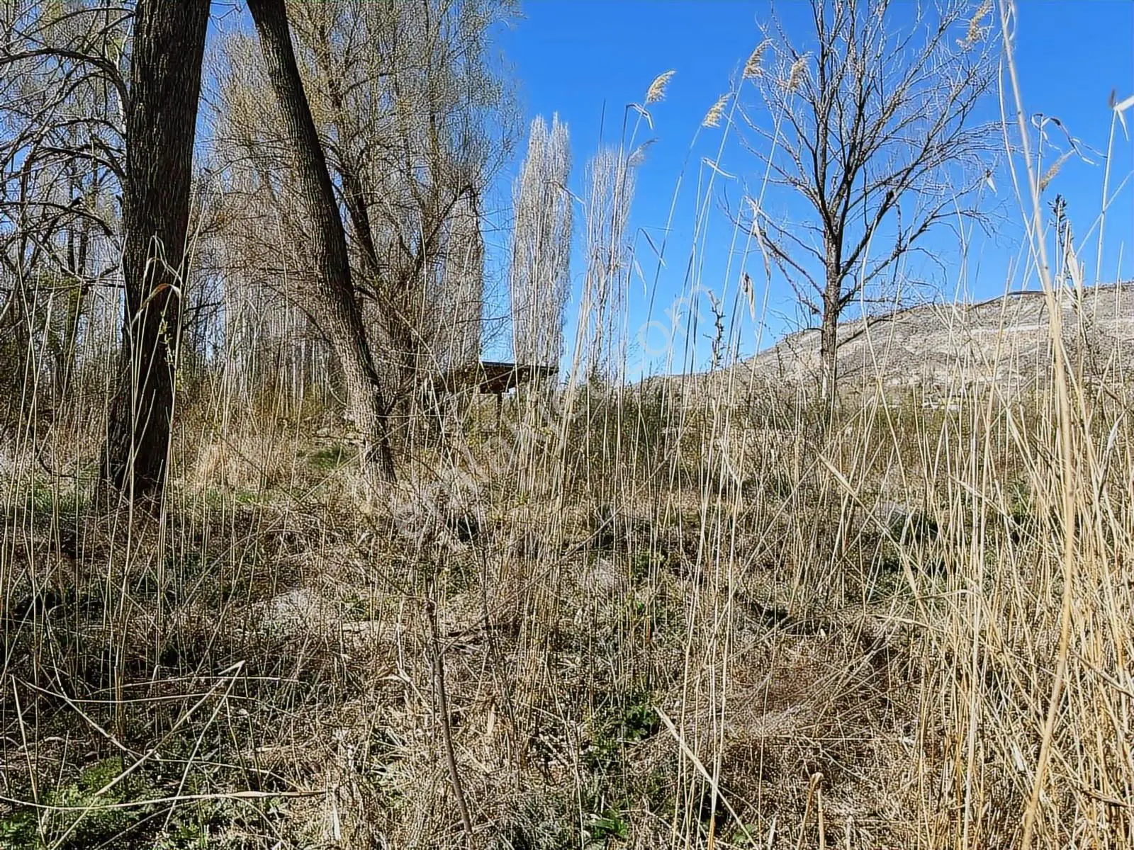 Ürgüp Cemilde Acill Satılık Tek Tapu Araç Takaslı — fotoğraf 15