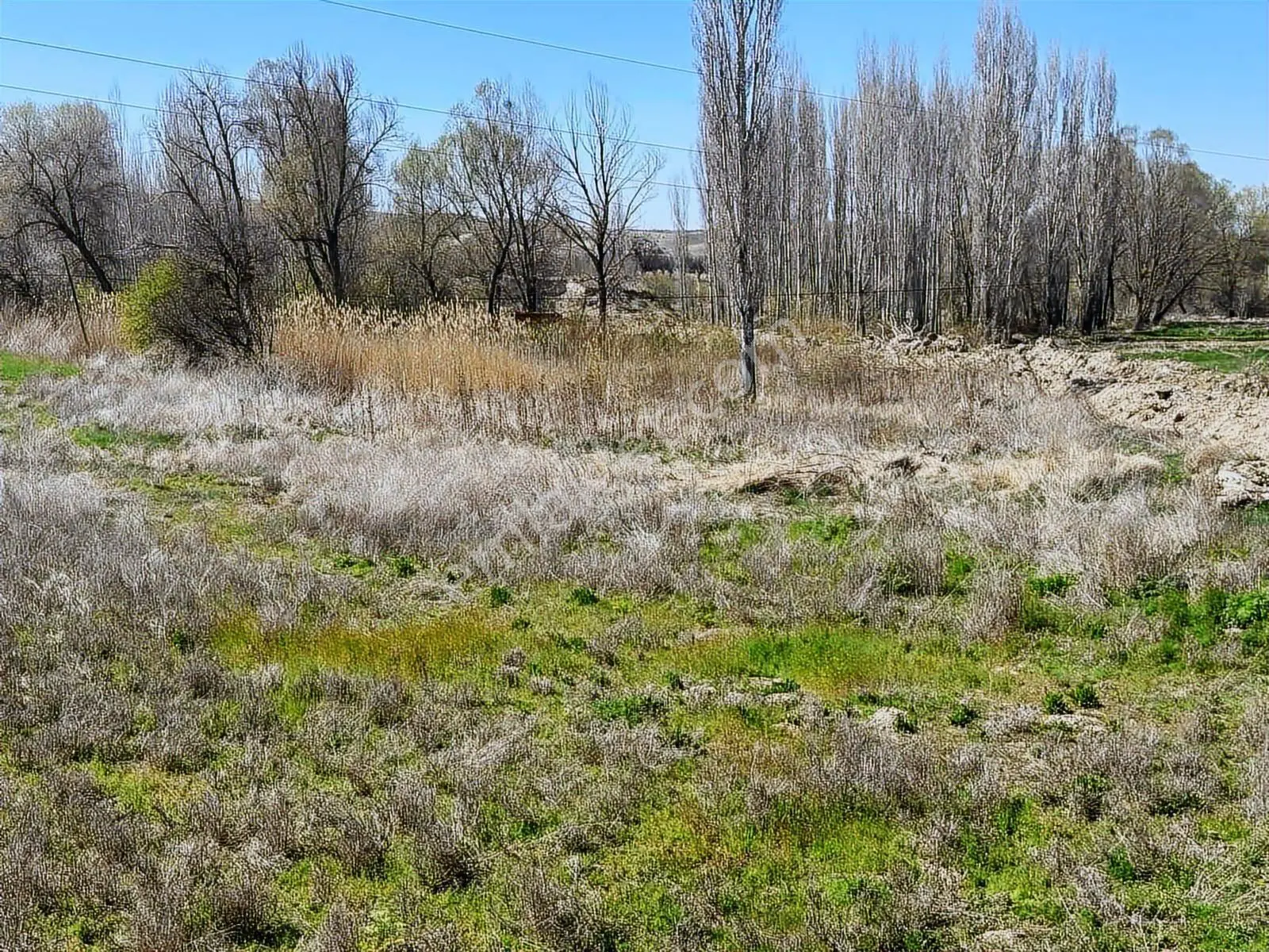 Ürgüp Cemilde Acill Satılık Tek Tapu Araç Takaslı — fotoğraf 18