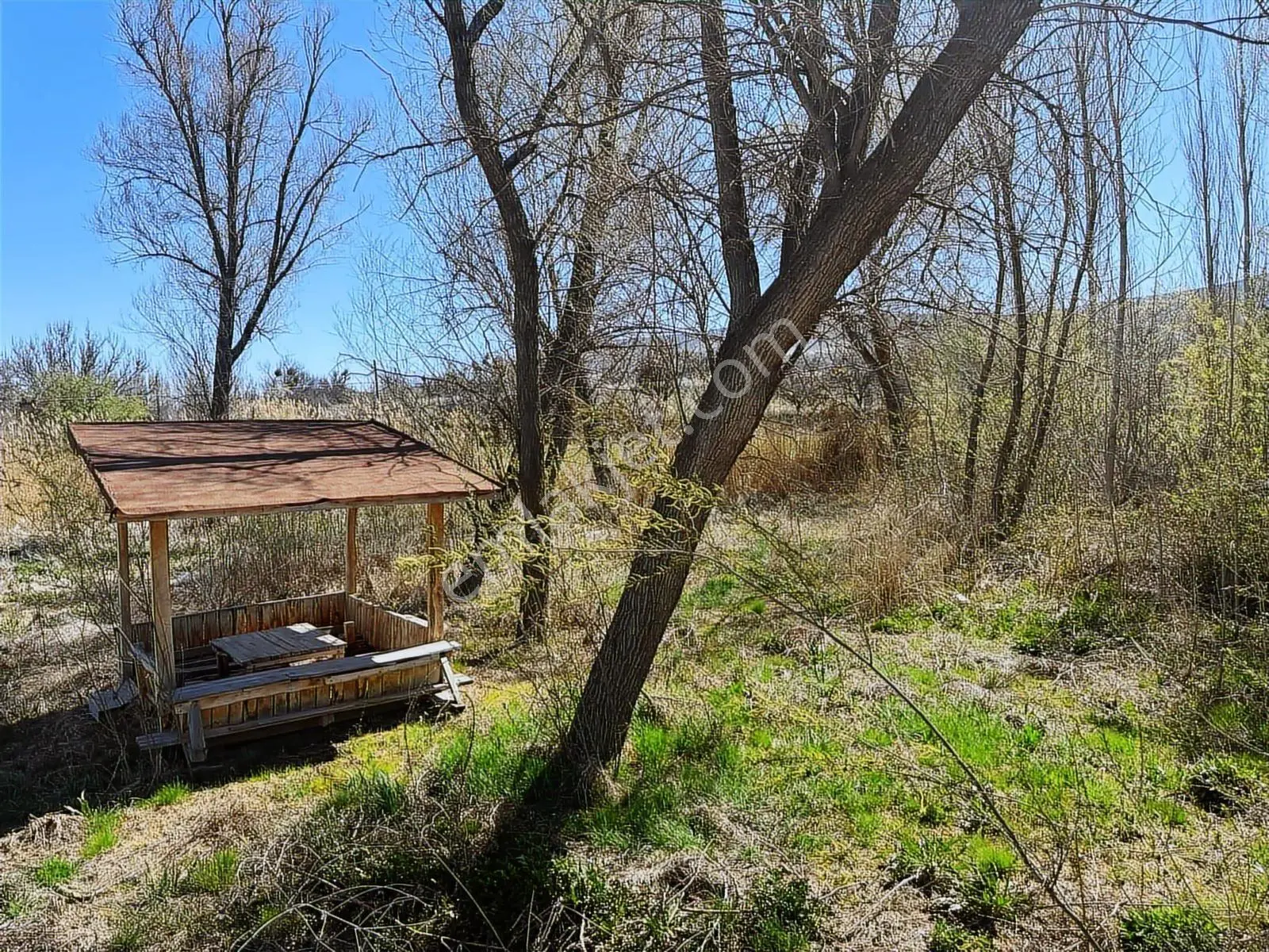Ürgüp Cemilde Acill Satılık Tek Tapu Araç Takaslı — fotoğraf 19
