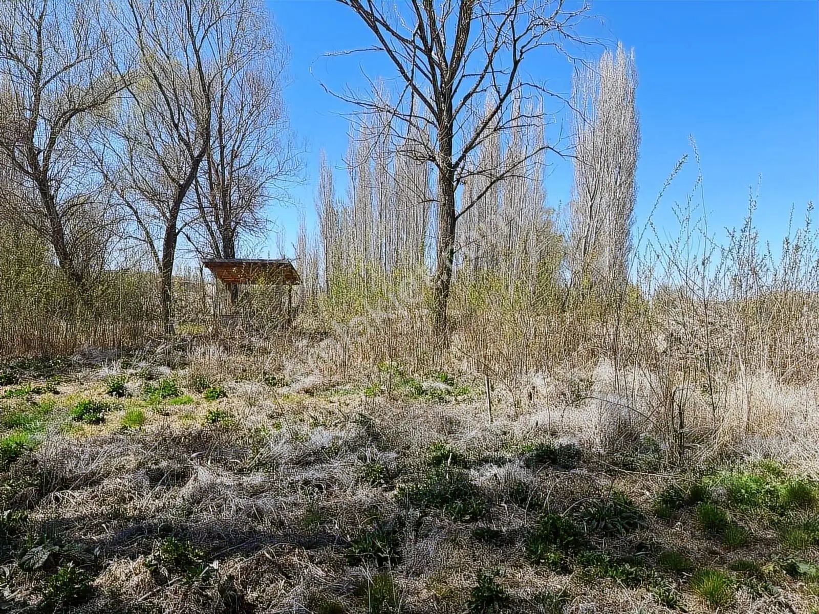 Ürgüp Cemilde Acill Satılık Tek Tapu Araç Takaslı — fotoğraf 24