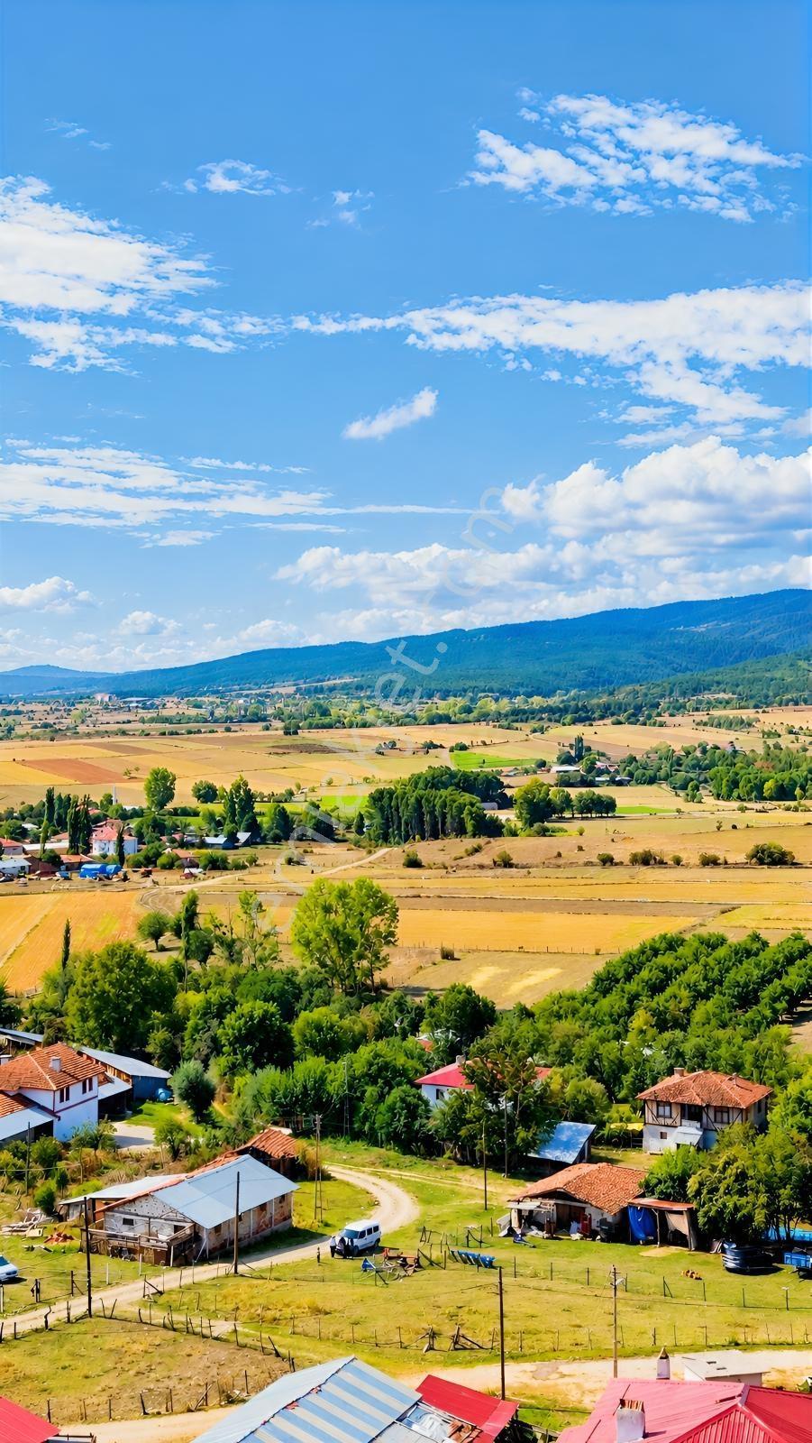 █ Garanti Emlak'tan Daday'a 3,5 Km 793 M² İmarlı Fırsat Arsa █ — fotoğraf 8