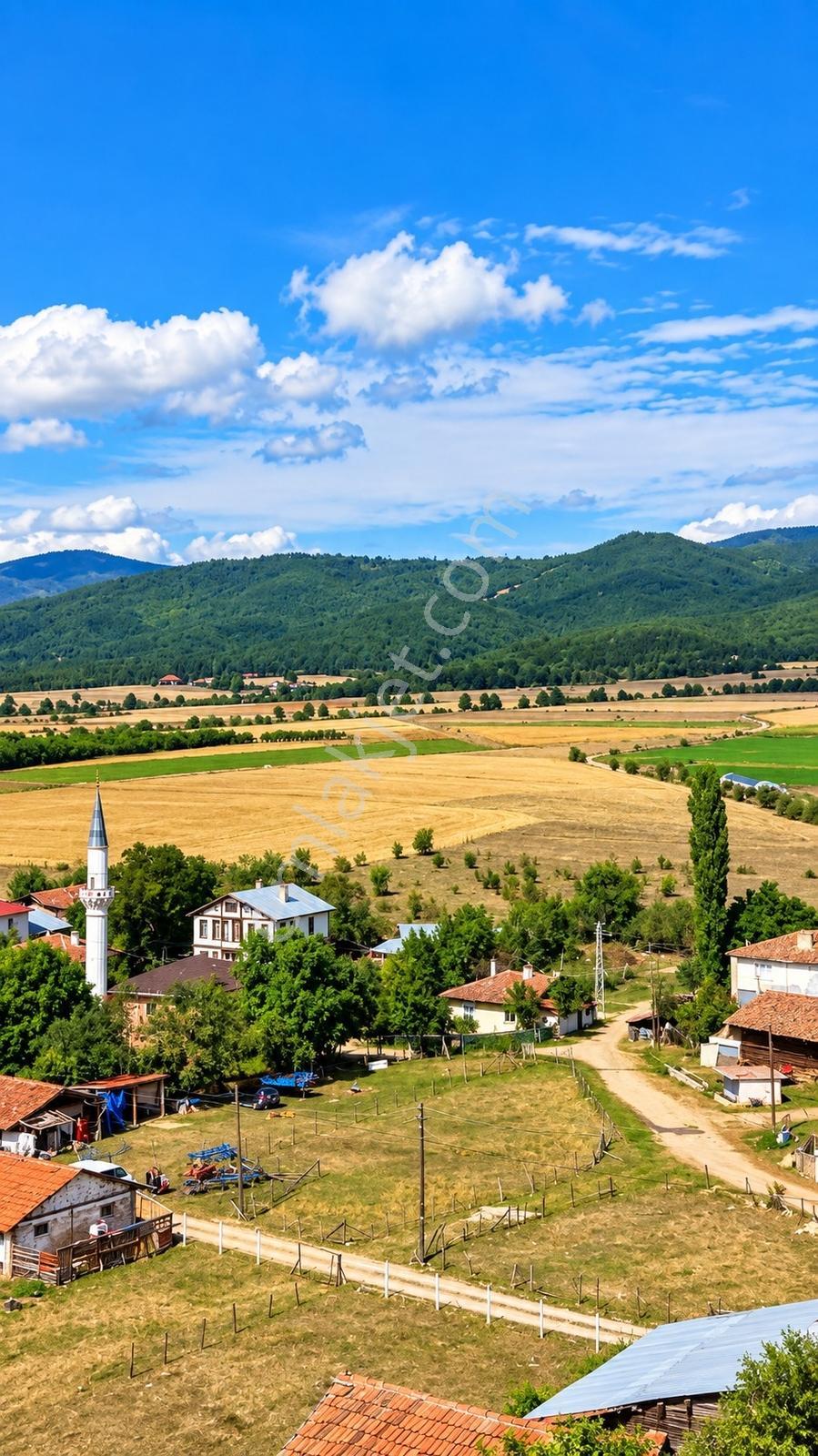 █ Garanti Emlak'tan Daday'a 3,5 Km 793 M² İmarlı Fırsat Arsa █ — fotoğraf 12