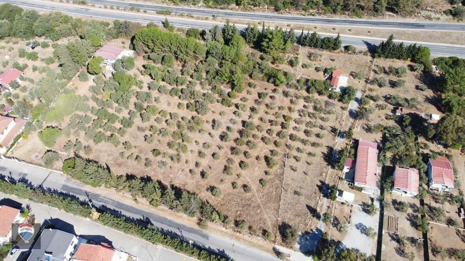 İzmir Gümüldür’de Denize 50 Metre Mesafede Satılık Termal Turizm İmarlı 6902 M2 Arsa — fotoğraf 13