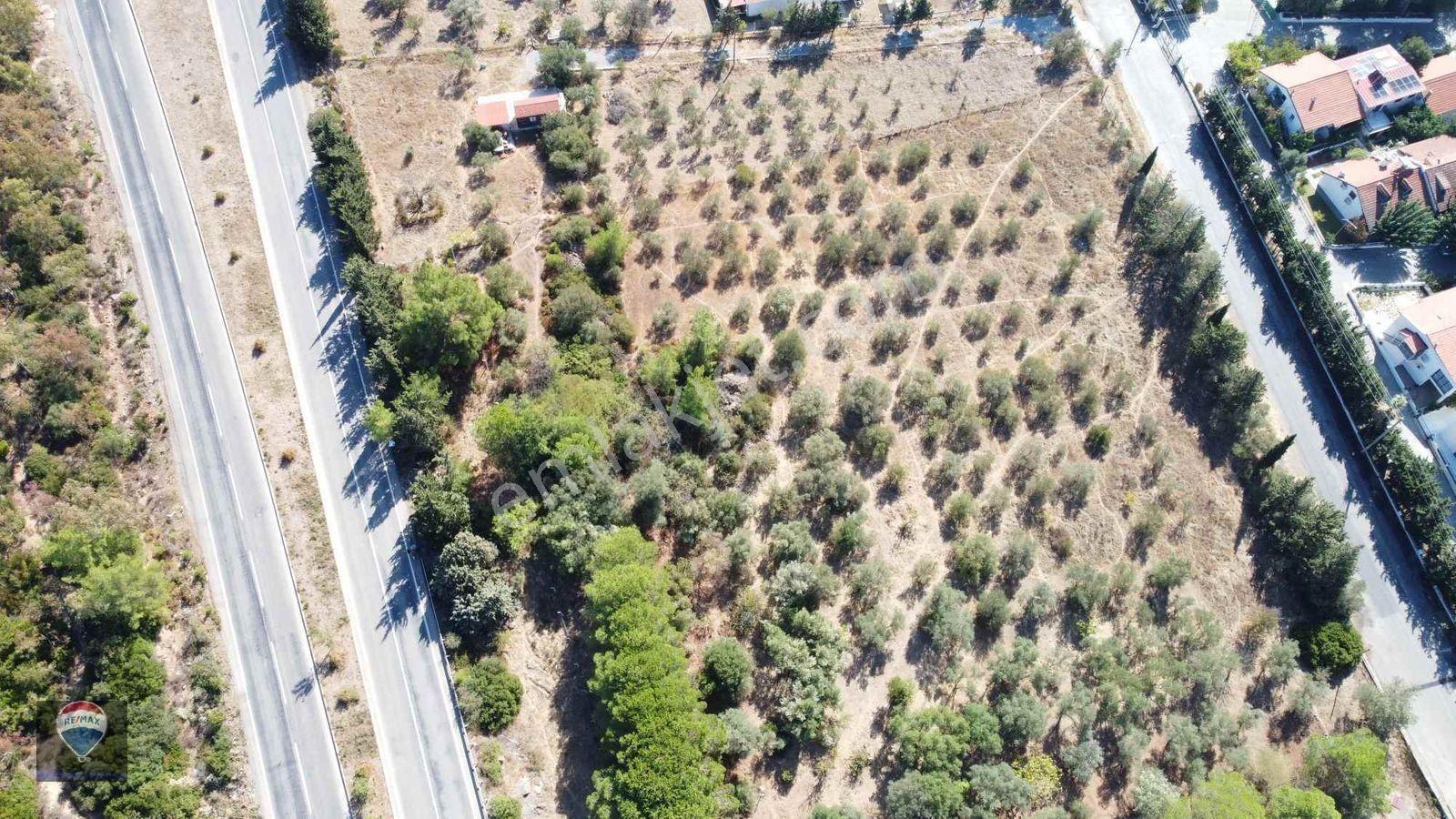 İzmir Gümüldür’de Denize 50 Metre Mesafede Satılık Termal Turizm İmarlı 6902 M2 Arsa — fotoğraf 15