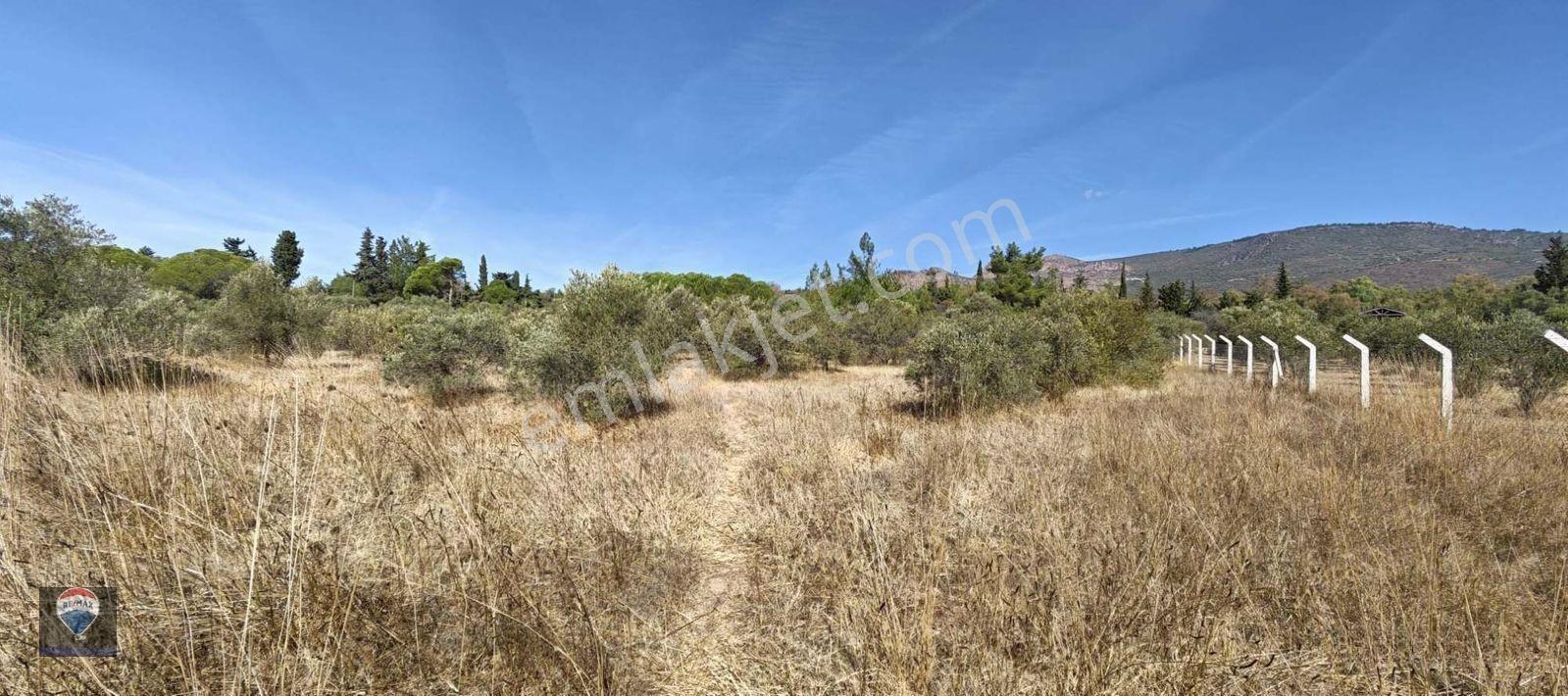 İzmir Gümüldür’de Denize 50 Metre Mesafede Satılık Termal Turizm İmarlı 6902 M2 Arsa — fotoğraf 29