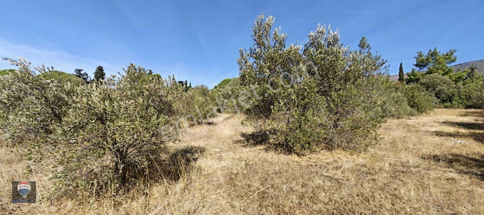 İzmir Gümüldür’de Denize 50 Metre Mesafede Satılık Termal Turizm İmarlı 6902 M2 Arsa — fotoğraf 30