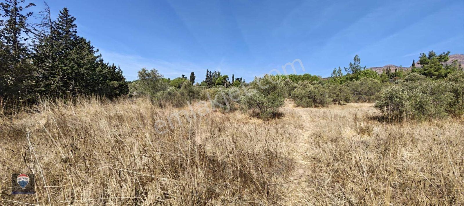 İzmir Gümüldür’de Denize 50 Metre Mesafede Satılık Termal Turizm İmarlı 6902 M2 Arsa — fotoğraf 32