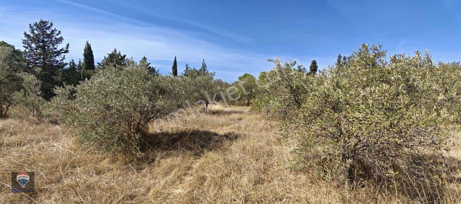 İzmir Gümüldür’de Denize 50 Metre Mesafede Satılık Termal Turizm İmarlı 6902 M2 Arsa — fotoğraf 33