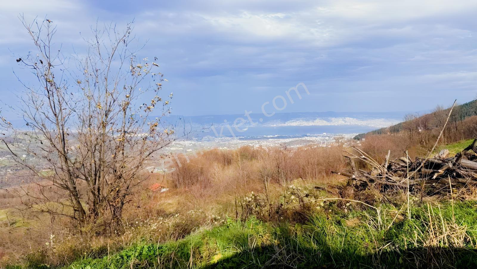 Başiskele Servetiyede Deniz Manzaralı & Resmî Yollu 6.261 M² — fotoğraf 9