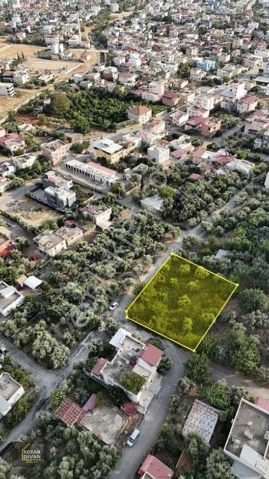 Kozan Divan Emlak'tan Türkeli'de Sağlık Ocağına Komşu Köşe Arsa — fotoğraf 4
