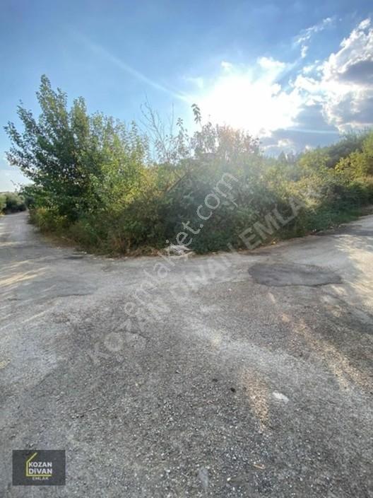 Kozan Divan Emlak'tan Türkeli'de Sağlık Ocağına Komşu Köşe Arsa — fotoğraf 5