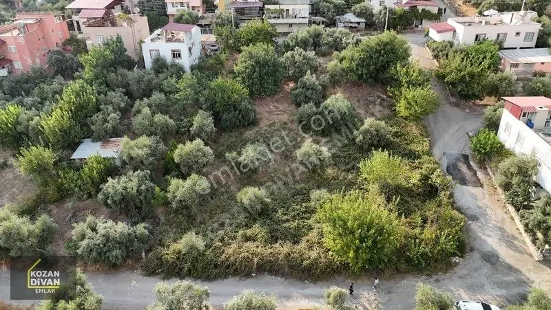 Kozan Divan Emlak'tan Türkeli'de Sağlık Ocağına Komşu Köşe Arsa — fotoğraf 8
