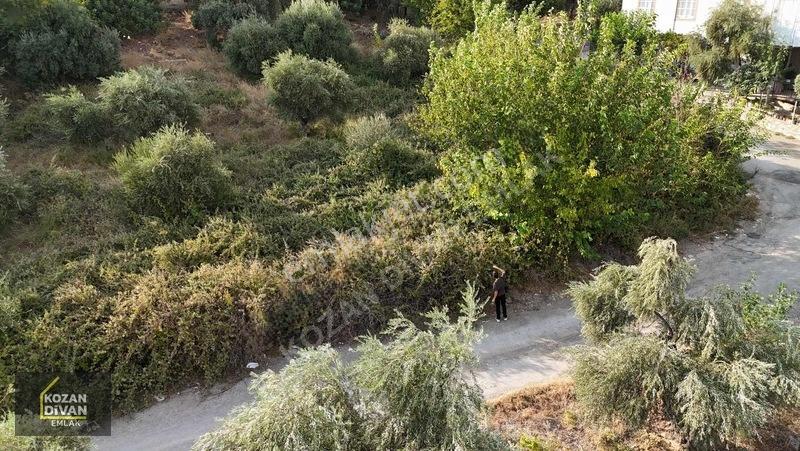 Kozan Divan Emlak'tan Türkeli'de Sağlık Ocağına Komşu Köşe Arsa — fotoğraf 9