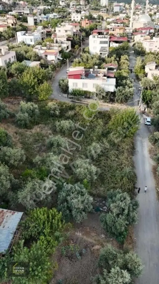 Kozan Divan Emlak'tan Türkeli'de Sağlık Ocağına Komşu Köşe Arsa — fotoğraf 11