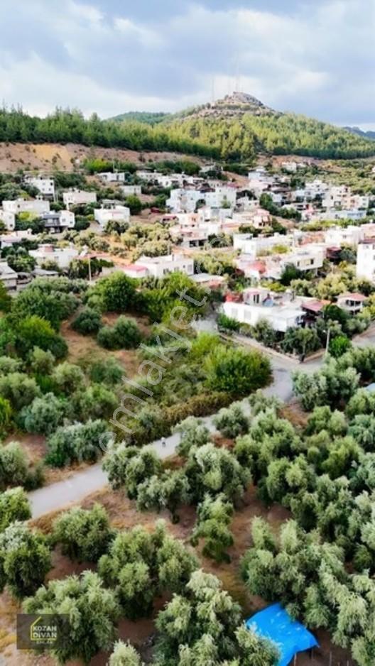 Kozan Divan Emlak'tan Türkeli'de Sağlık Ocağına Komşu Köşe Arsa — fotoğraf 13