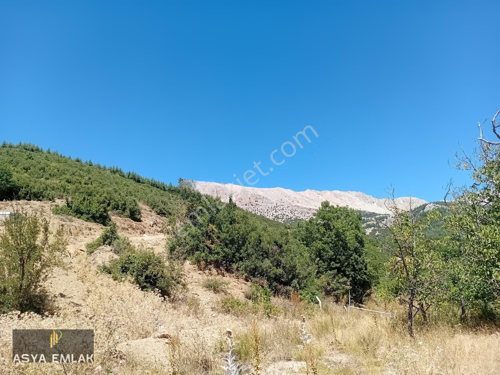 Ağlasun Kıraç Mahallesinde Satılık Fırsat Bağ — fotoğraf 6