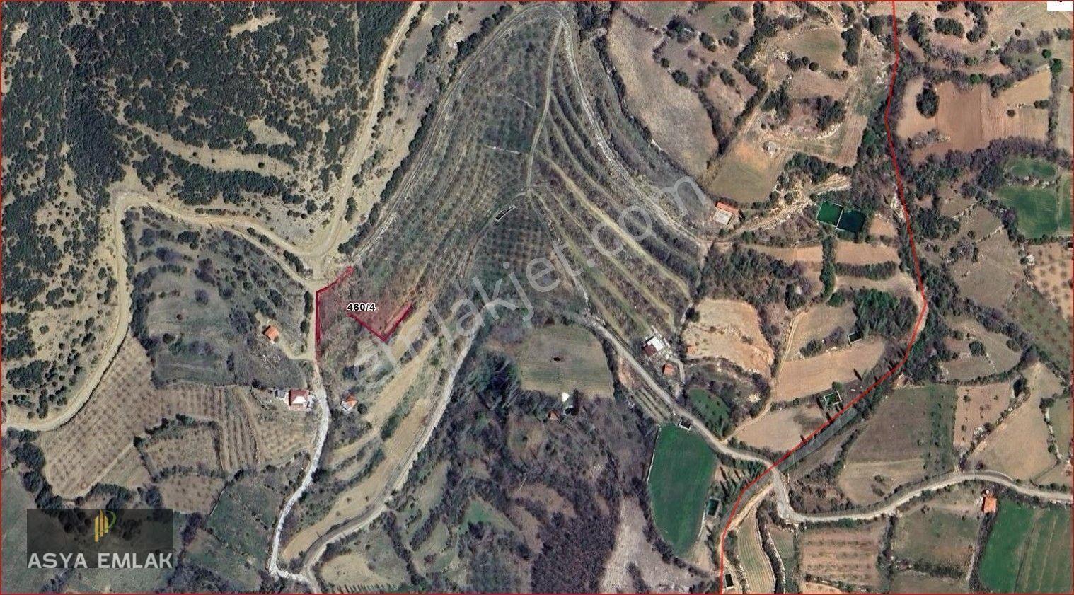 Ağlasun Kıraç Mahallesinde Satılık Fırsat Bağ — fotoğraf 25