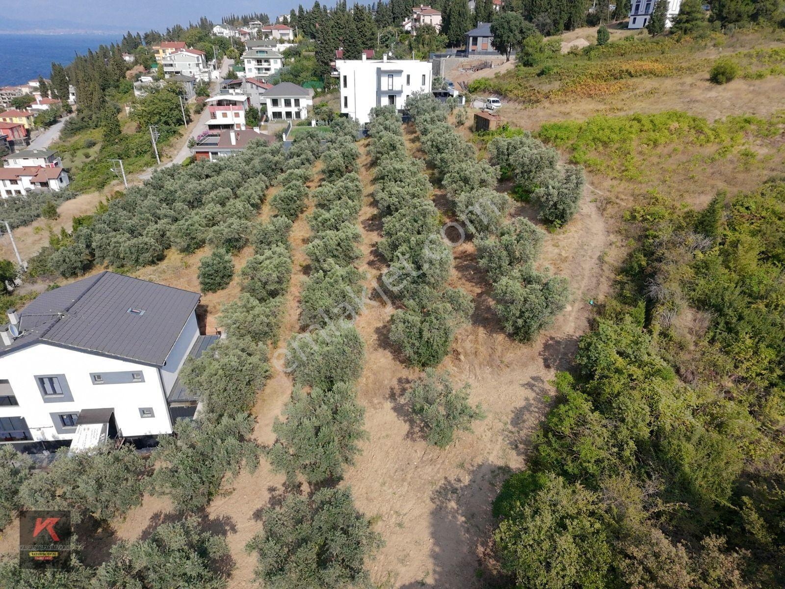Kardeşten Kayacık'ta 474 M² %25 İmarlı Deniz Manzaralı Arsa — fotoğraf 12
