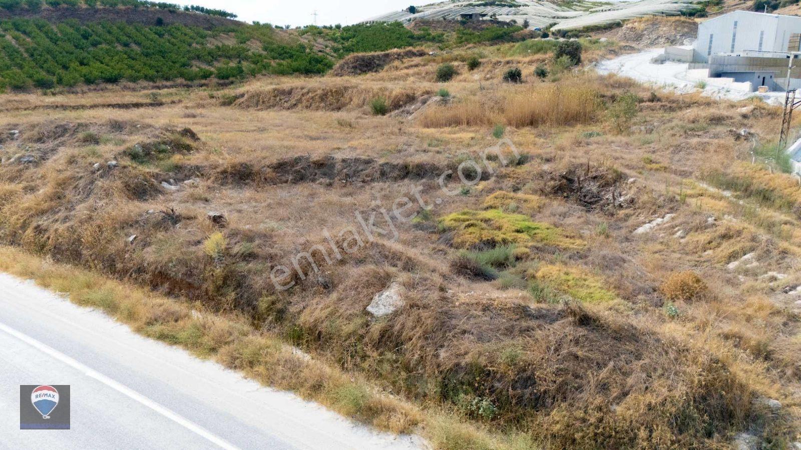 Aydın Çine Saraçlar’da Müstakil Parsel Satılık Tarla | 113 Ada 59 Parsel — fotoğraf 7