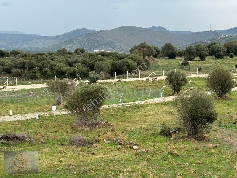 Emiralem Yayla Da İmara 250 M Satılık 248 M² Koop. Parselleri — fotoğraf 7