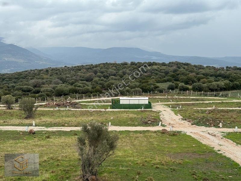Emiralem Yayla Da İmara 250 M Satılık 248 M² Koop. Parselleri — fotoğraf 9